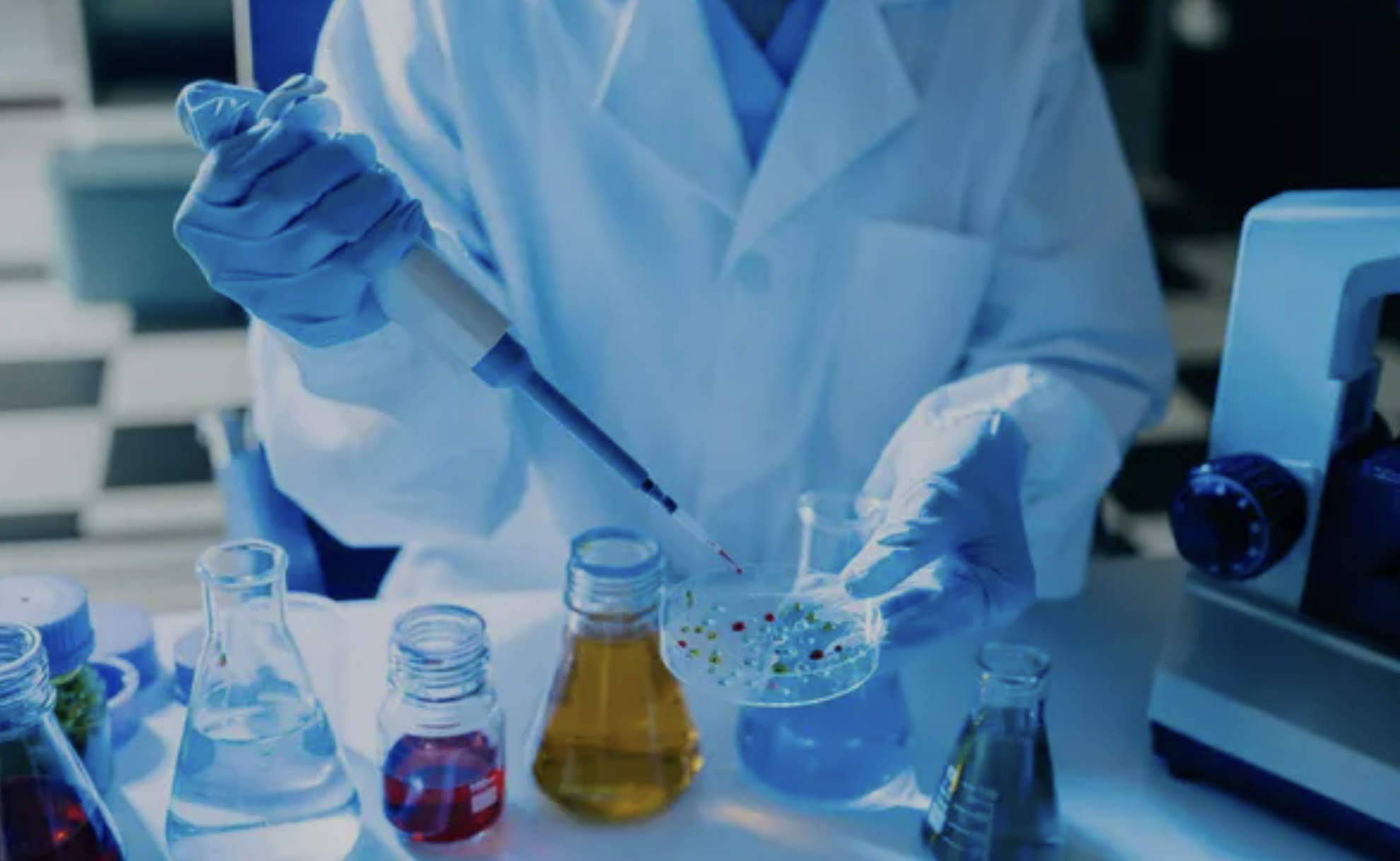 Szkolenie z substancji reprotoksycznych, rakotwórczych i mutagennych w języku angielskim